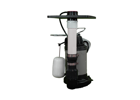 Behind Tank Replacement Pump